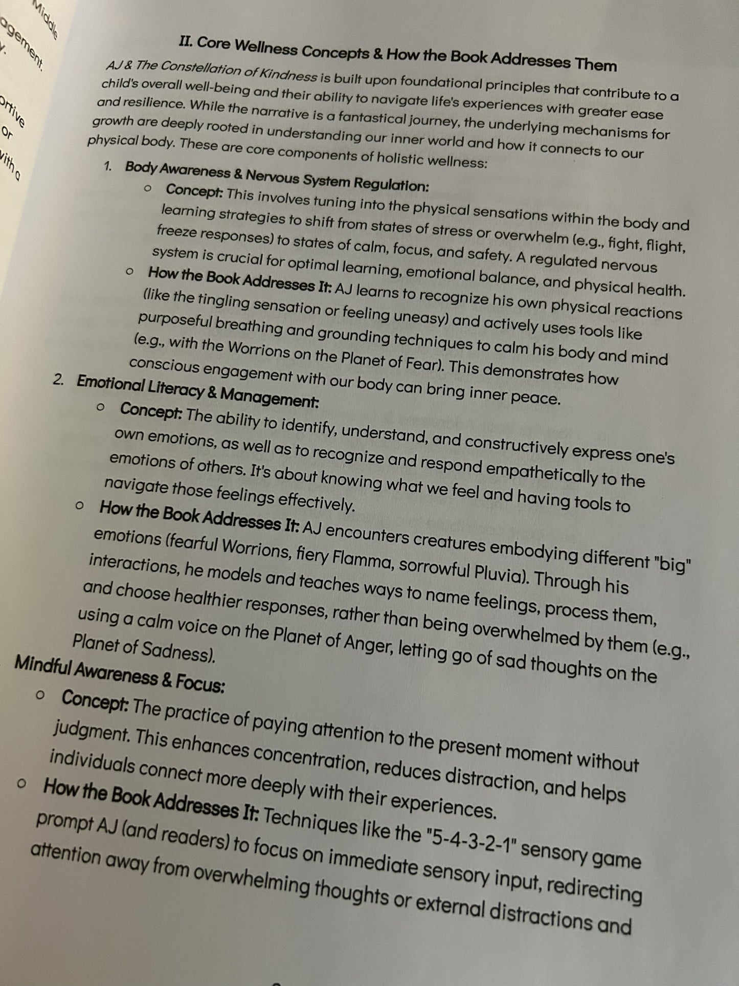 A Guide to Holistic Wellness, Focus & Peace, AJ & The Constellation of Kindness