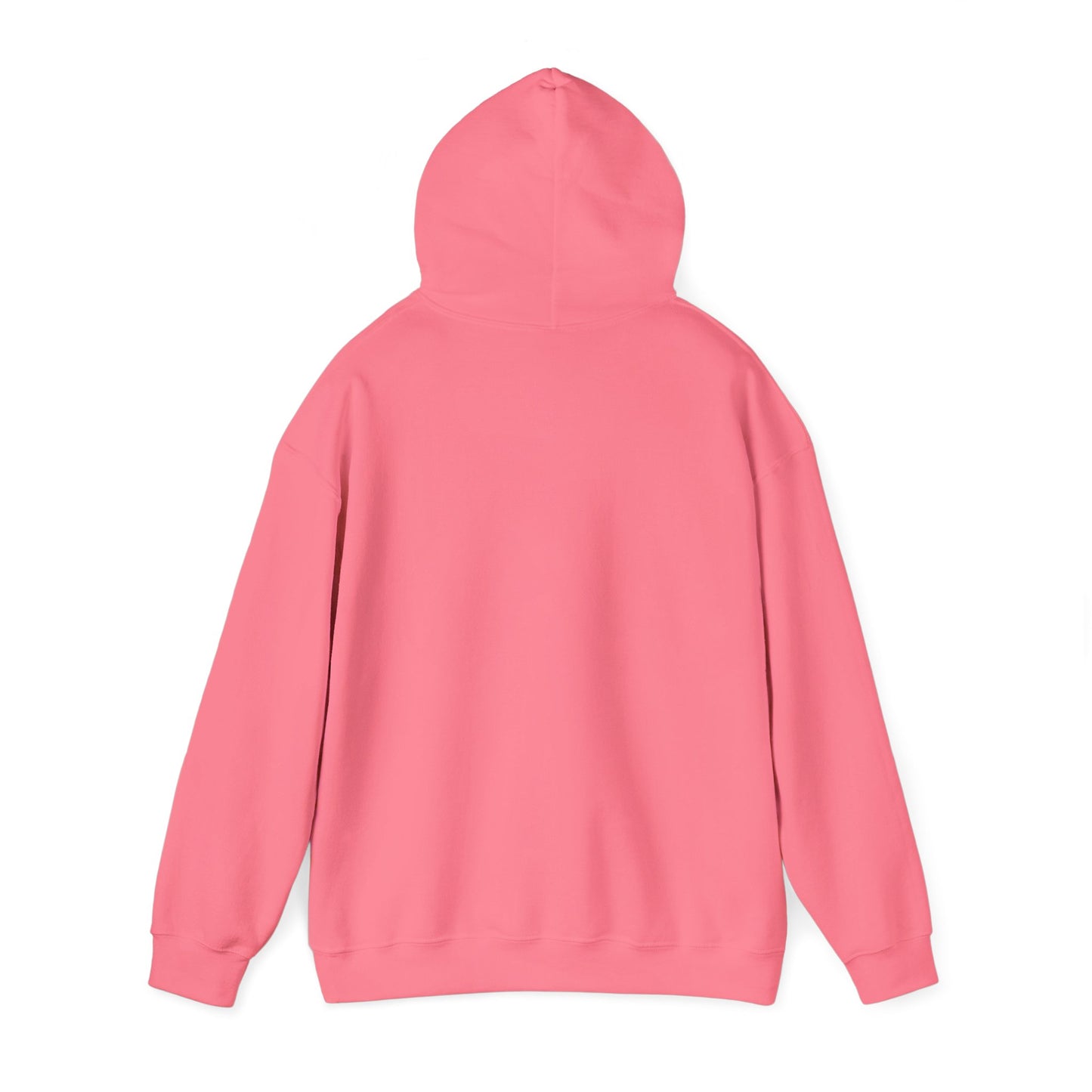 TN Tech Beach Eagle Hoodie — Retro Athletic Logo Pullover