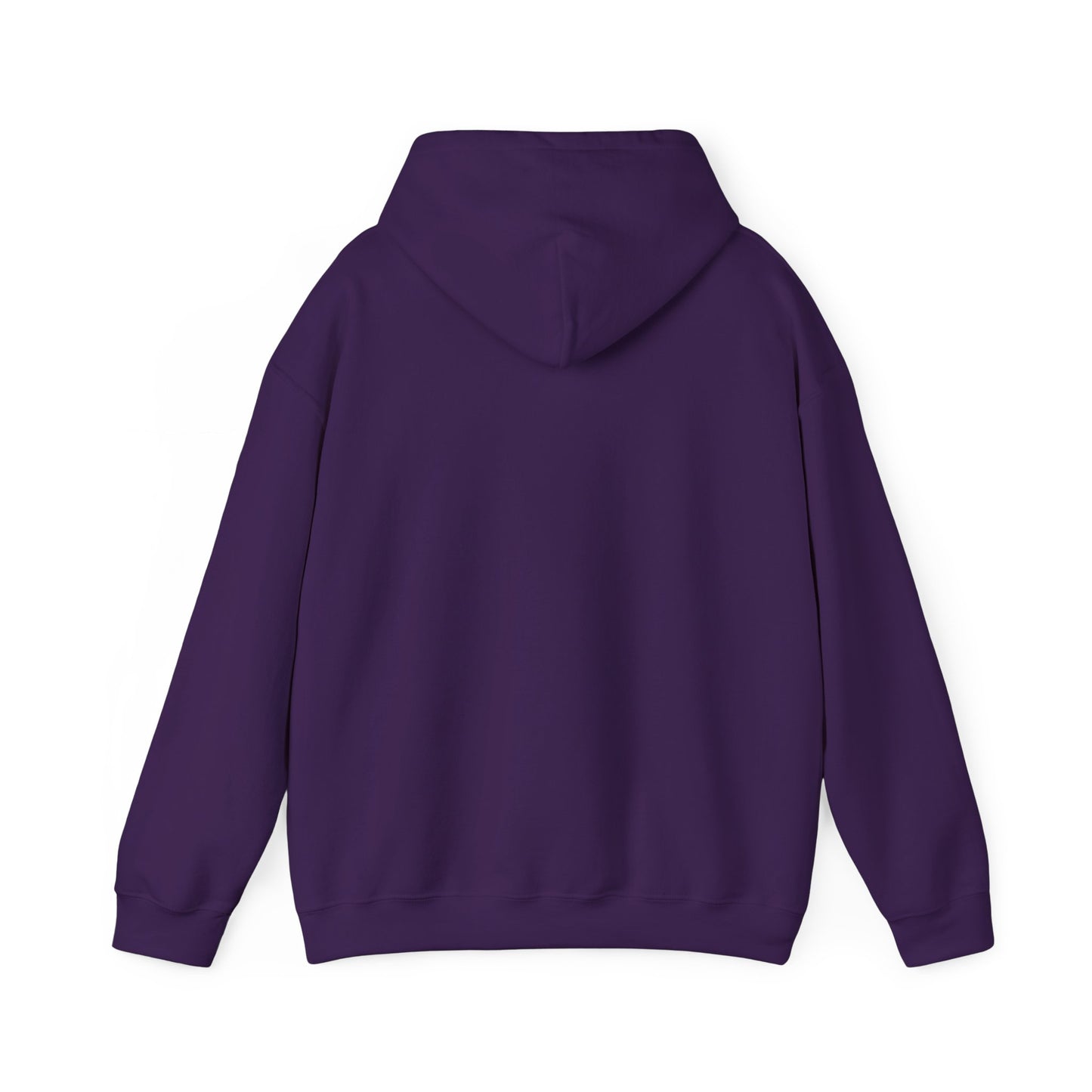 TN Tech Beach Eagle Hoodie — Retro Athletic Logo Pullover
