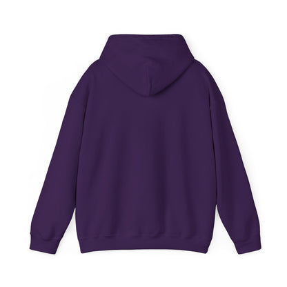 TN Tech Beach Eagle Hoodie — Retro Athletic Logo Pullover