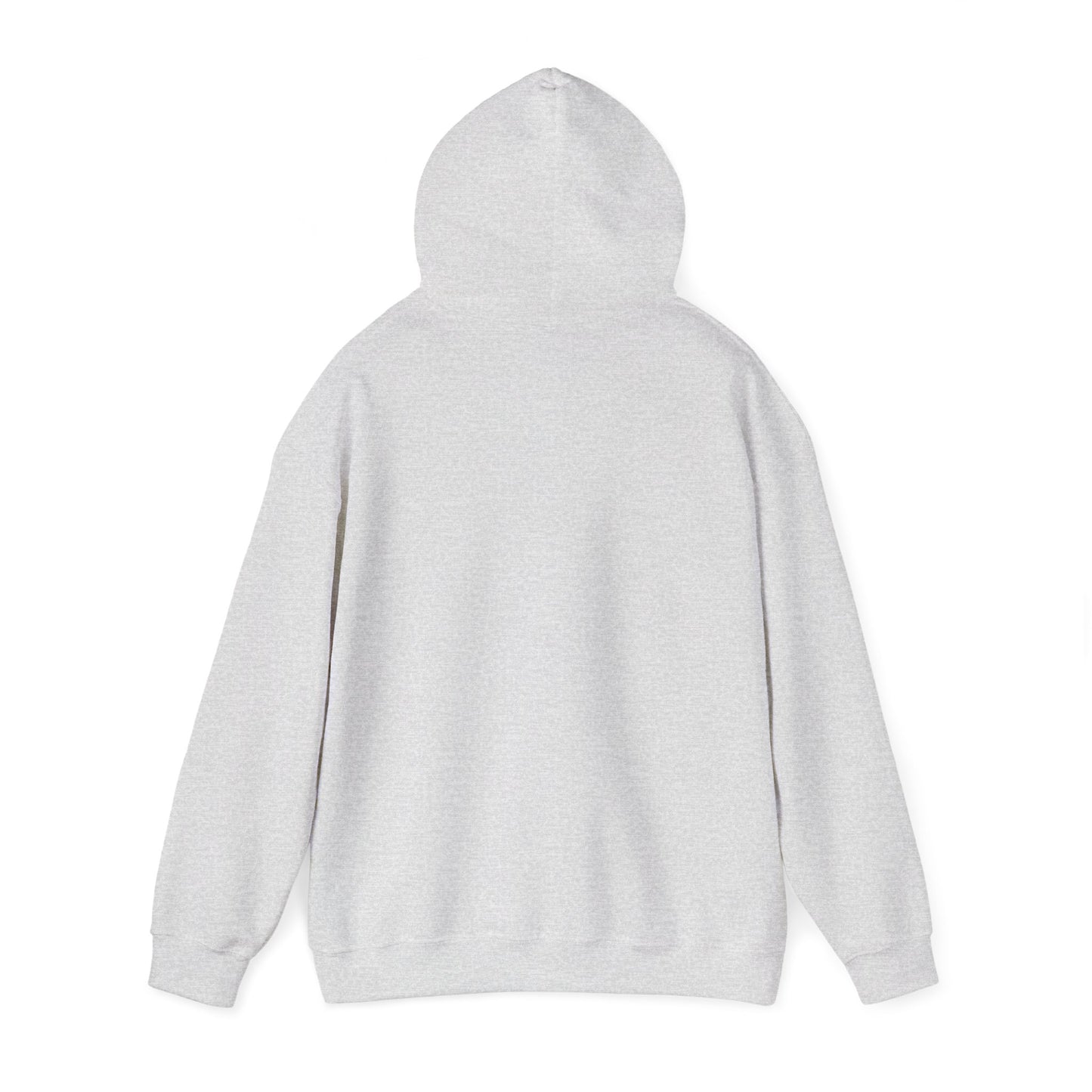 TN Tech Beach Eagle Hoodie — Retro Athletic Logo Pullover