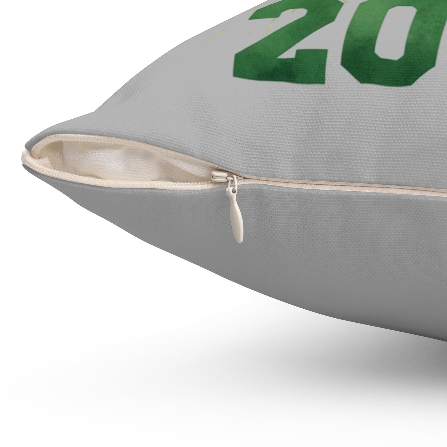 Class of 2026 Dragons Decorative Square Pillow