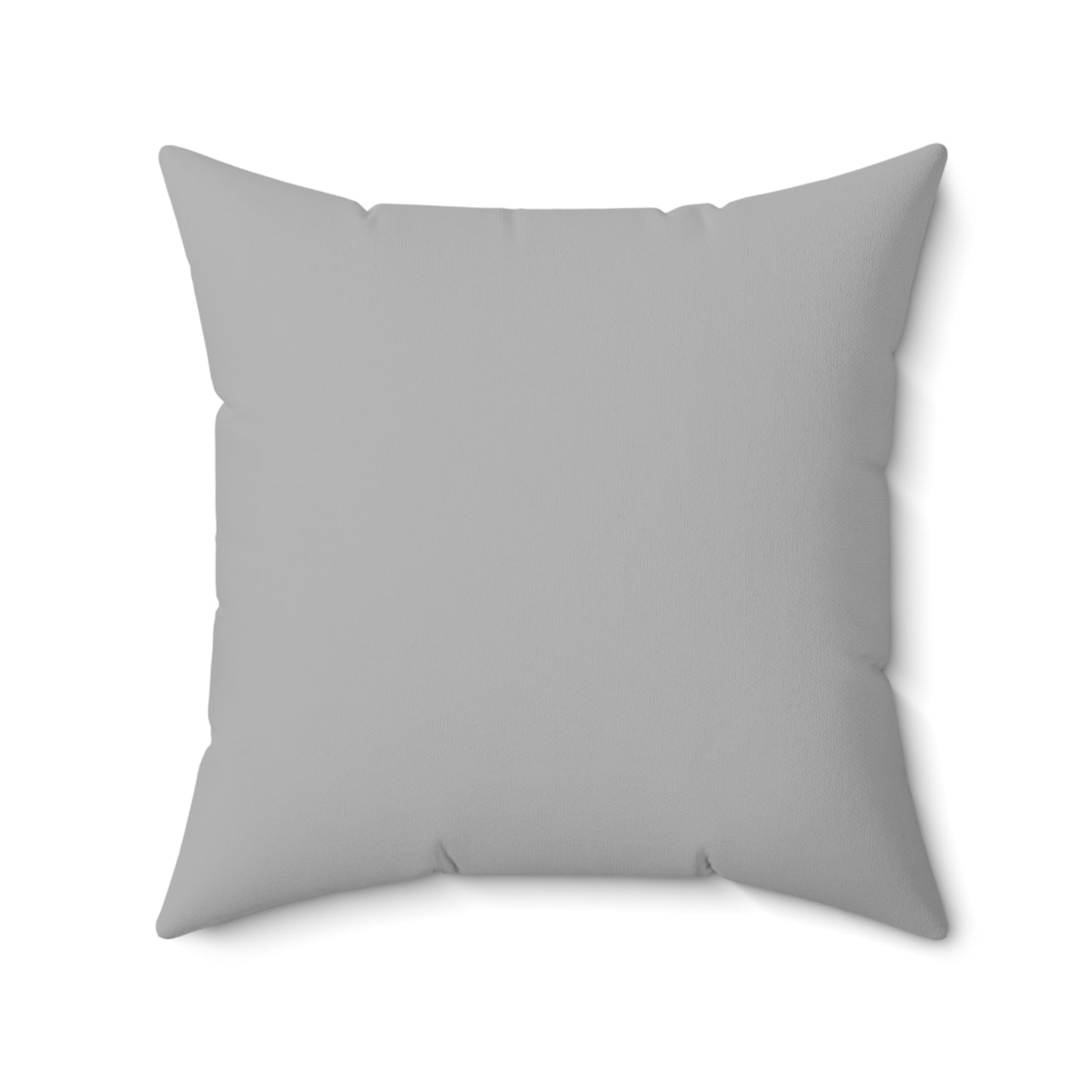 Class of 2026 Dragons Decorative Square Pillow