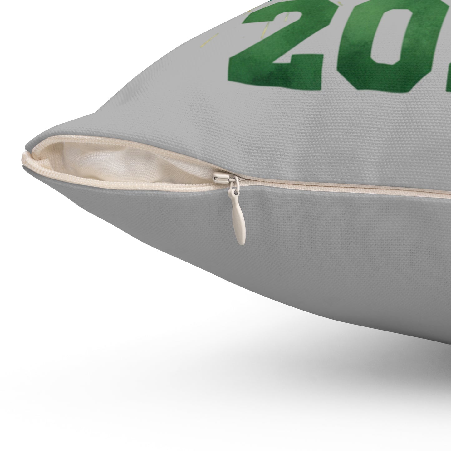 Class of 2026 Dragons Decorative Square Pillow