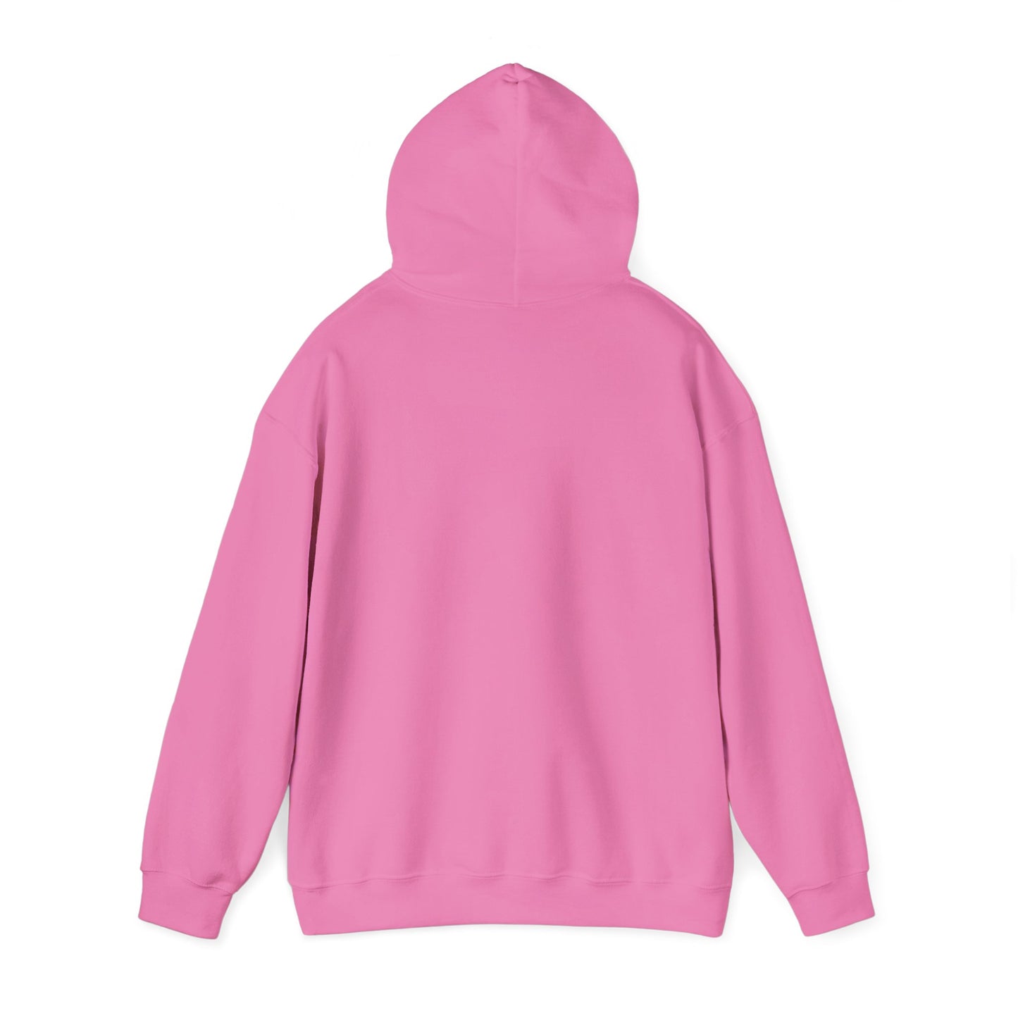 TN Tech Beach Eagle Hoodie — Retro Athletic Logo Pullover