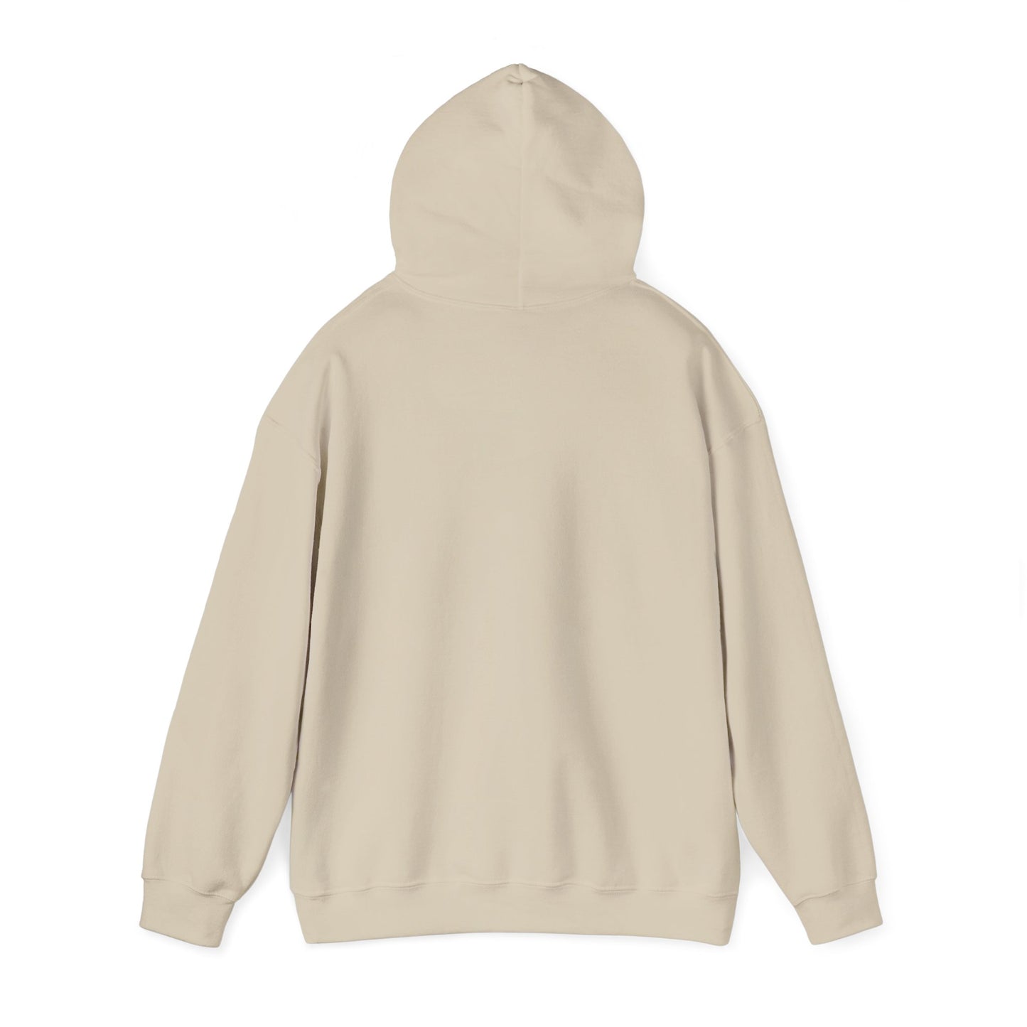 TN Tech Beach Eagle Hoodie — Retro Athletic Logo Pullover