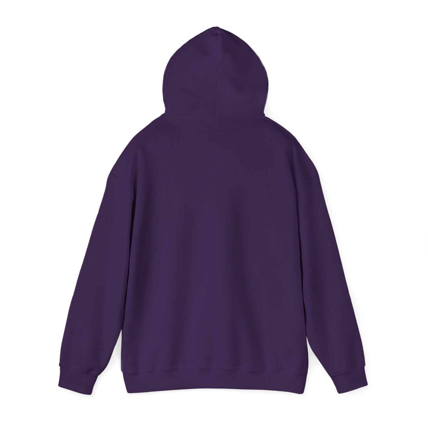 TN Tech Beach Eagle Hoodie — Retro Athletic Logo Pullover